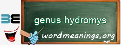 WordMeaning blackboard for genus hydromys